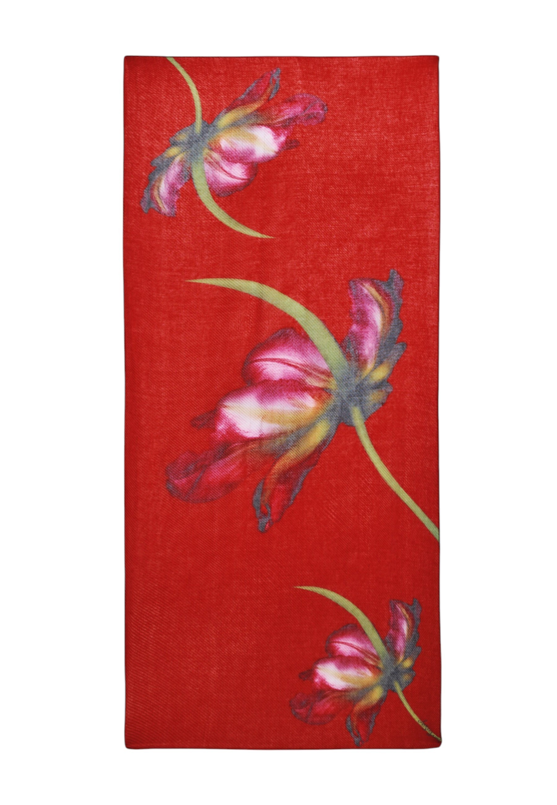 Desigual Scarves
