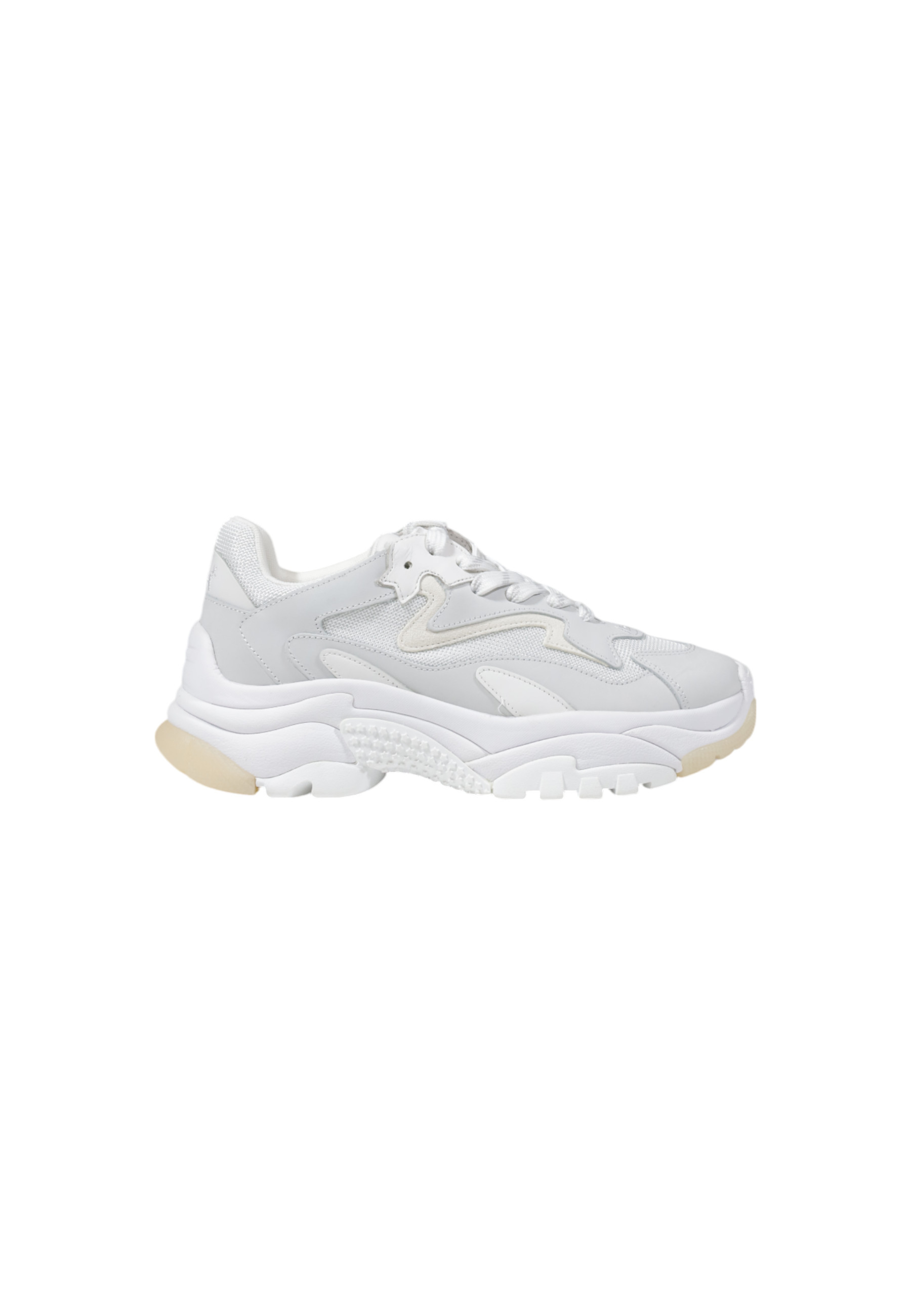 Ash Sneakers