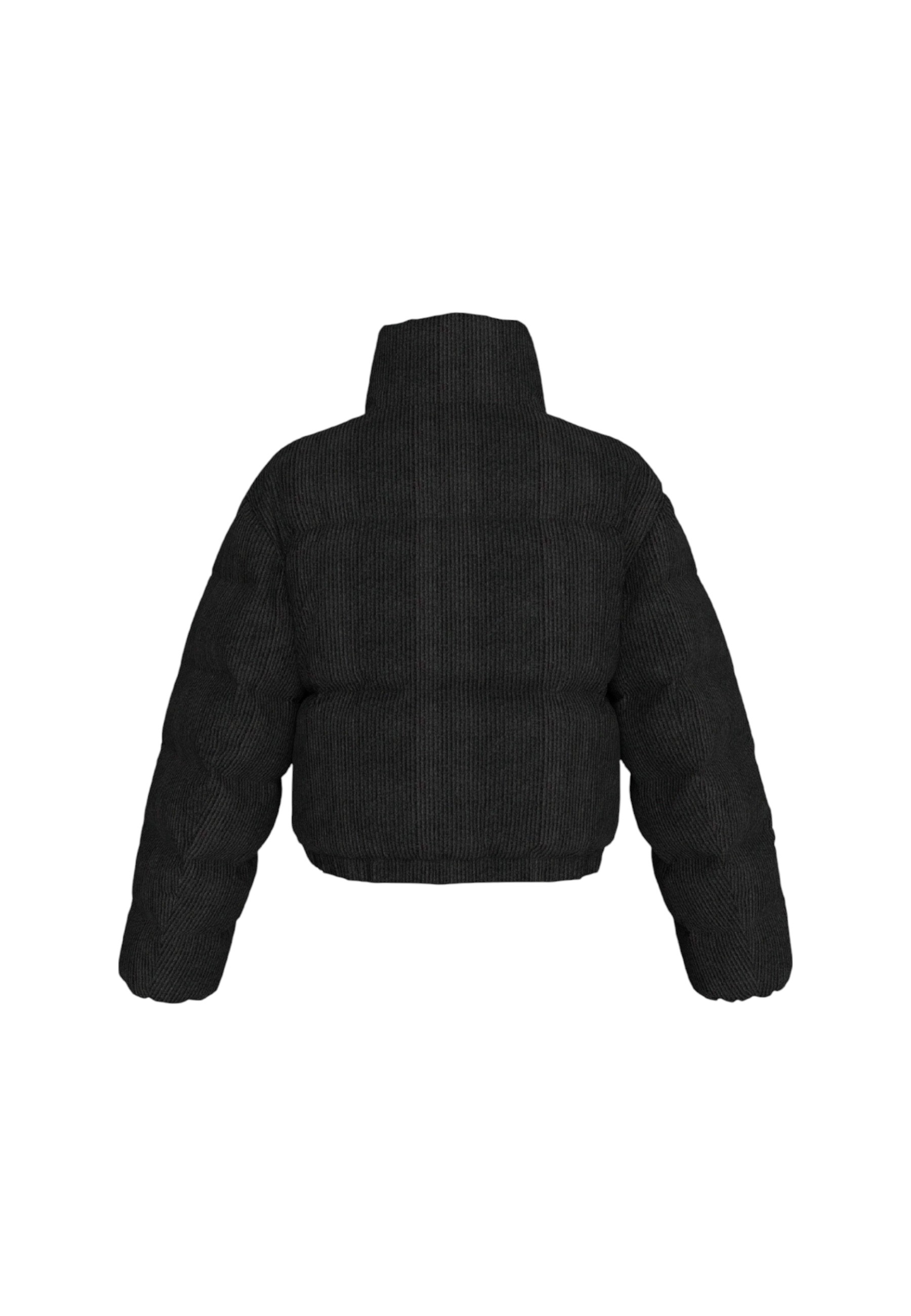 Calvin Klein Jeans Jackets