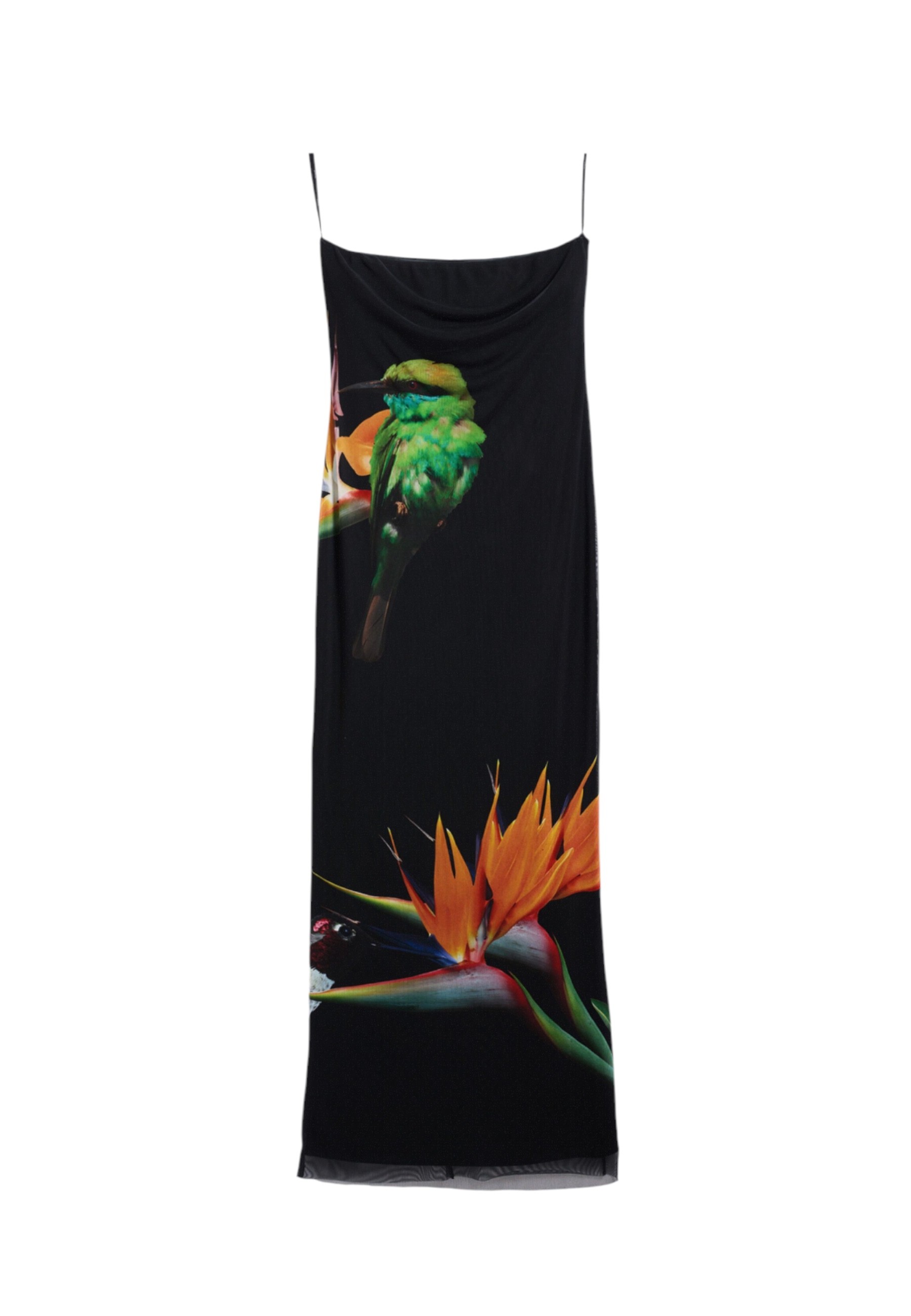 Desigual Dresses