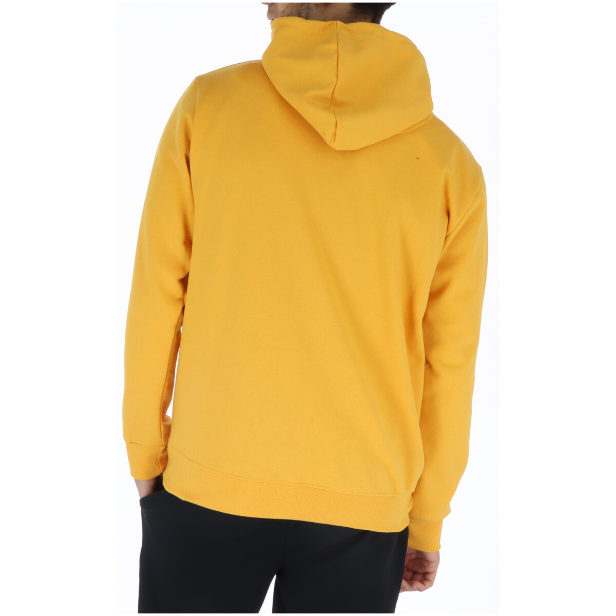 U.S. Polo Sweatshirts