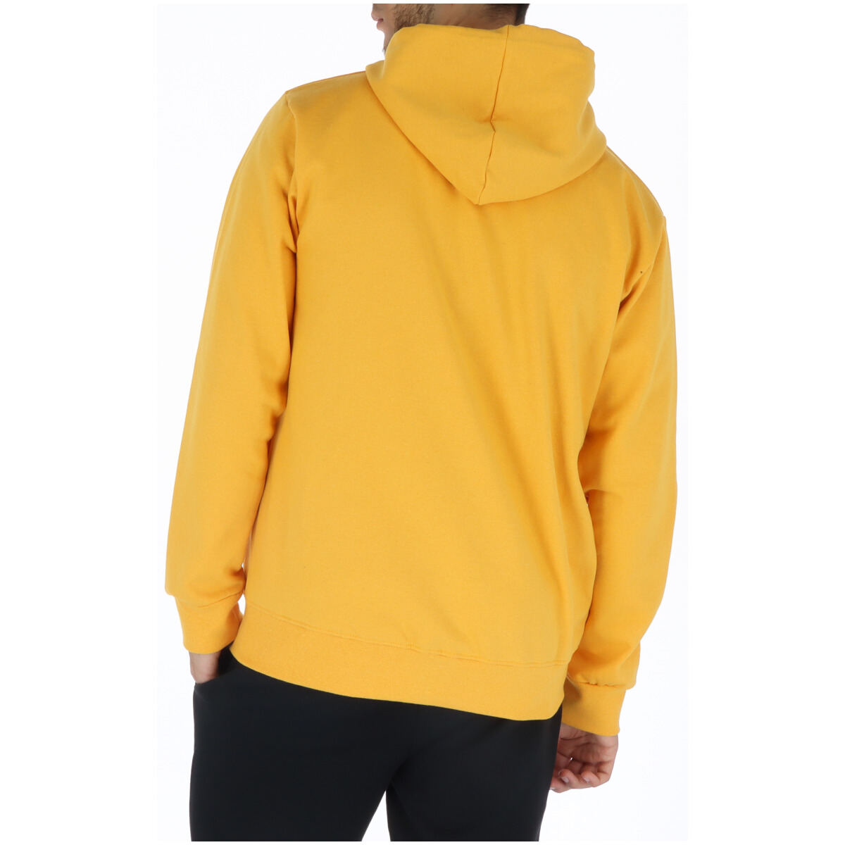 U.S. Polo Sweatshirts