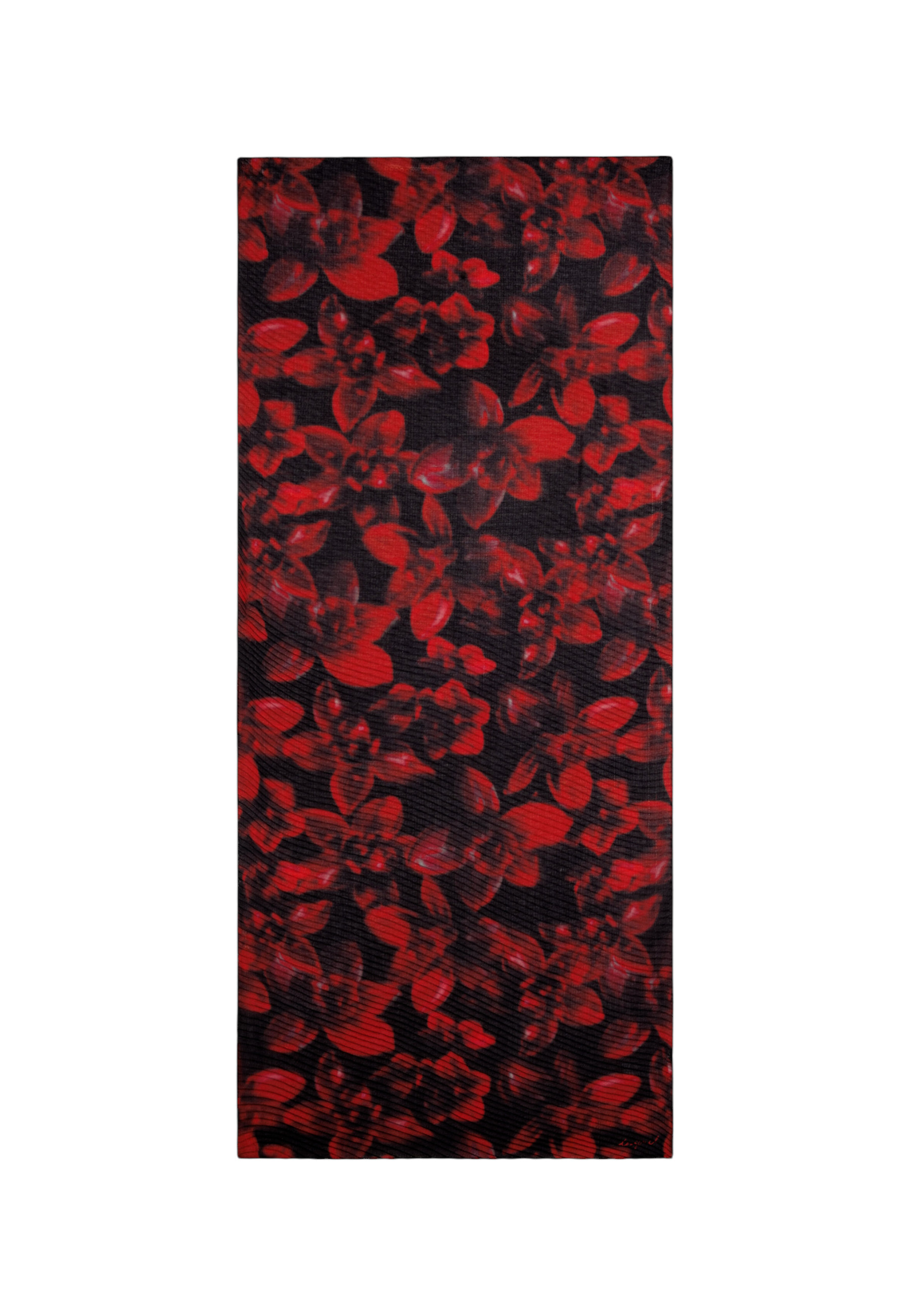 Desigual Scarves