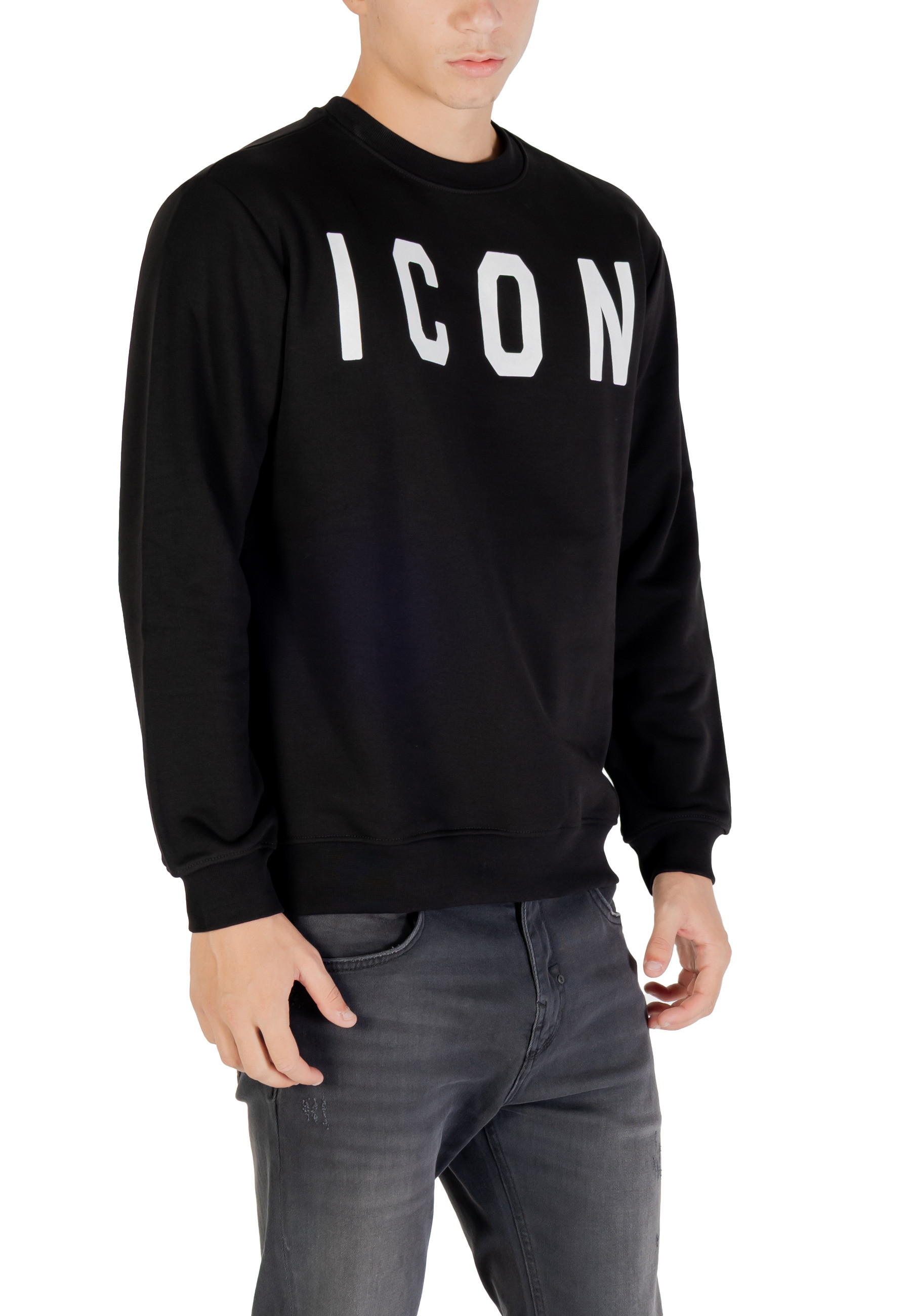 Icon Sweatshirts