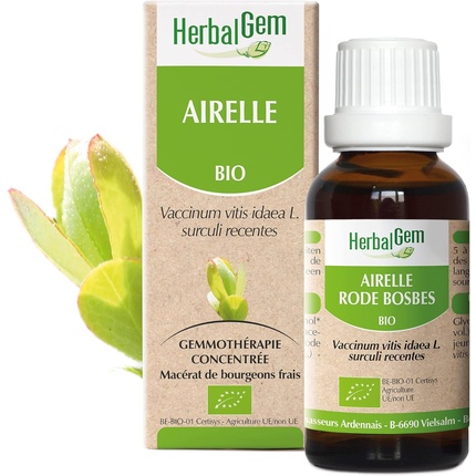 Концентрат Herbalgem Брусника Органический Мацерат Материнский Концентрат Геммотерапии