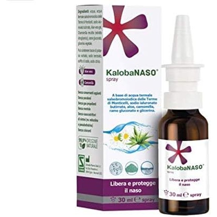 Спрей Schwabe Pharma Kalobanaso
