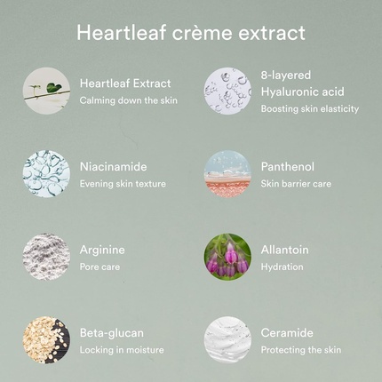 Увлажняющий крем для лица Abib Heartleaf Calming Cream