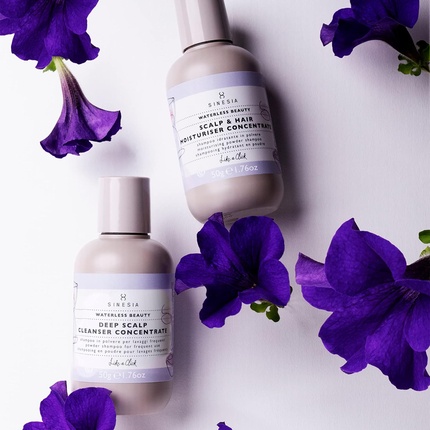 Шампунь Sinesia Waterless Beauty Deep Scalp Cleanser Concentrate