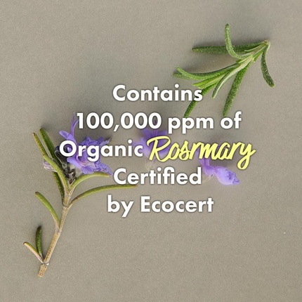 Средство для кожи головы Rated Green Cold Brew Rosemary Балансирующее