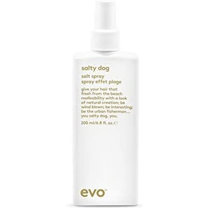 Спрей для укладки evo Salty Dog