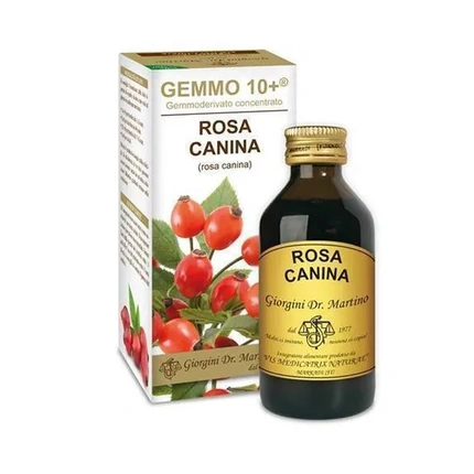 Безалкогольная жидкая форма Dr Giorgini Gemmo 10 Шиповник
