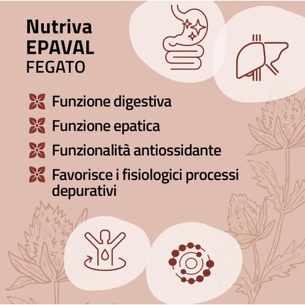 БАД Nutriva