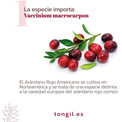 Витаминный комплекс Tongil