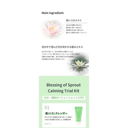 Набор для ухода за лицом Hayejin Blessing of Sprout