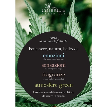 Oyster Perpetual Cannabis Green Lab Illumina-Therapy Oil