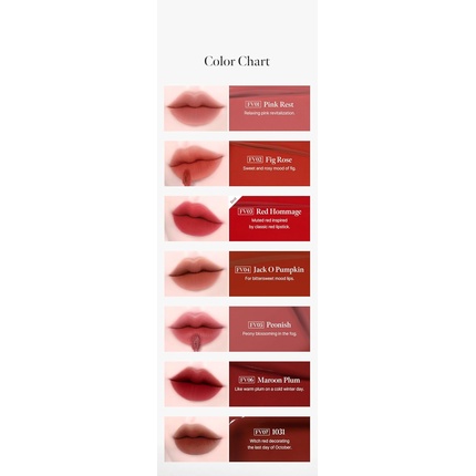 Black Rouge Icy To Fog Velvet